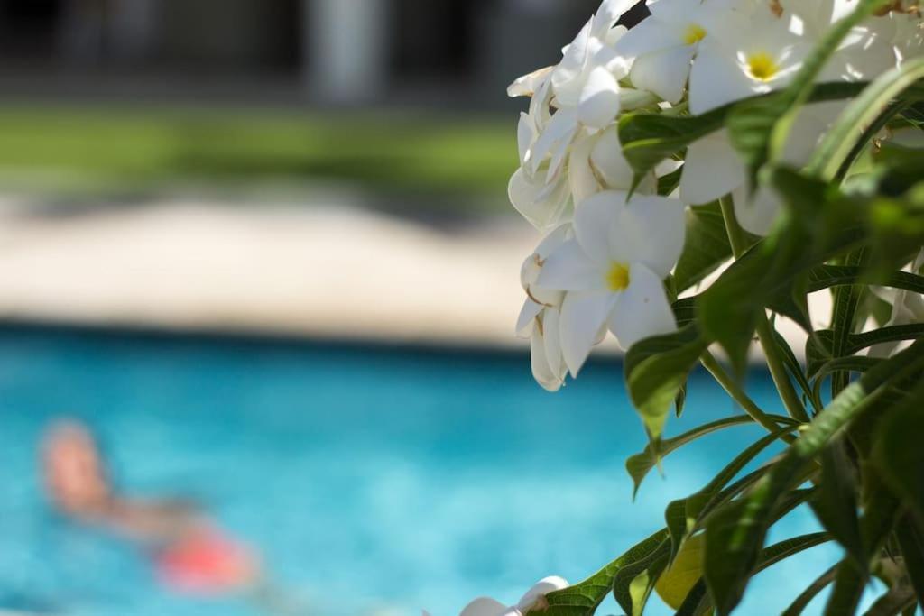 Goudhaen Luxury Private Apartments Jan Thiel Beach Экстерьер фото
