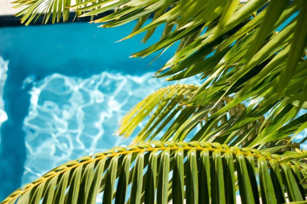 Goudhaen Luxury Private Apartments Jan Thiel Beach Экстерьер фото